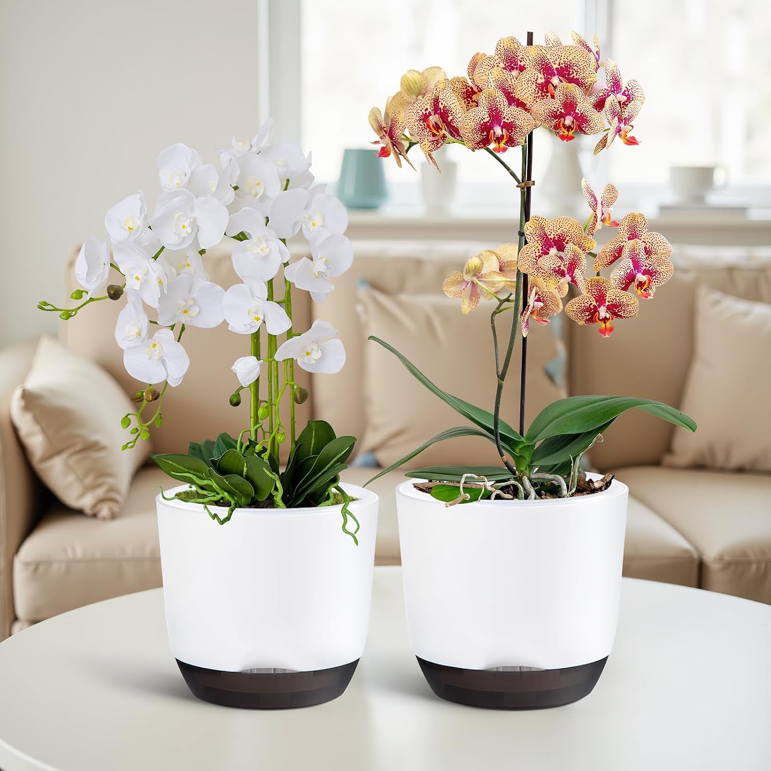 Thumbnail 4 de QCQHDU 7.2in self-watering orchid pots