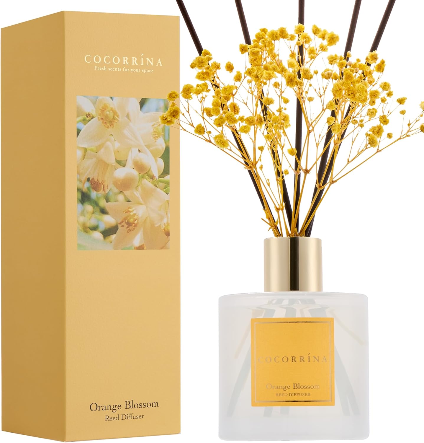 Thumbnail 1 de COCORRÍNA Raumduft Orange Blossom Reed Diffuser, 200 ml mit 8 Duftstäbchen