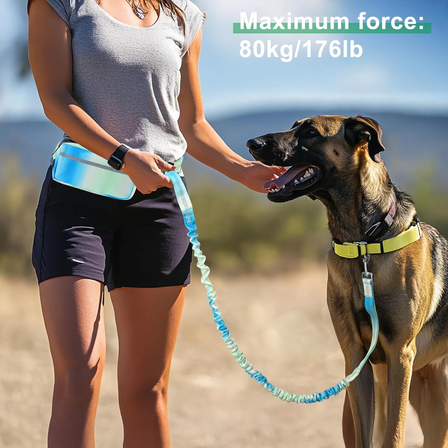 Thumbnail 2 de Joggingleine Hunde mit Bauchgurt – Laufgürtel mit verstellbarer Führleine, reflektierende Streifen (Grün)