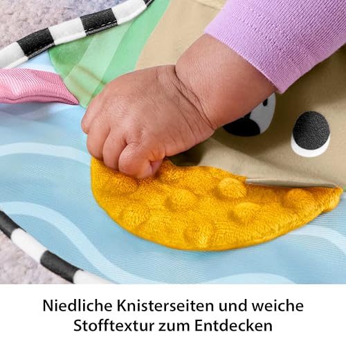 Thumbnail 2 de Fisher-Price Sensory Adventures Bauchstütze – sensorisches Bauchlage-Spielset