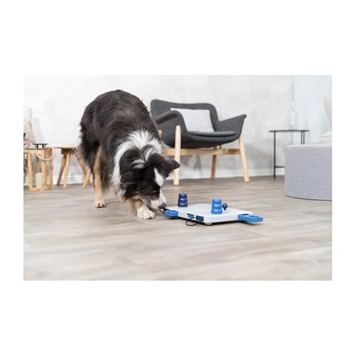 Detalle de Trixie 32025 Dog Activity Move2Win Nivel 3 — 34×6×13 cm