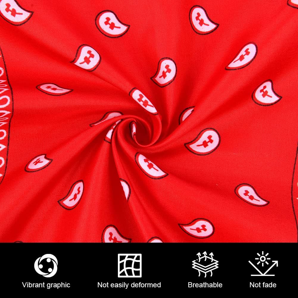 Detalle de AOMIG C2BE-PeiSiLi-FBA vierkante bandana, 55 x 55 cm met paisleypatroon