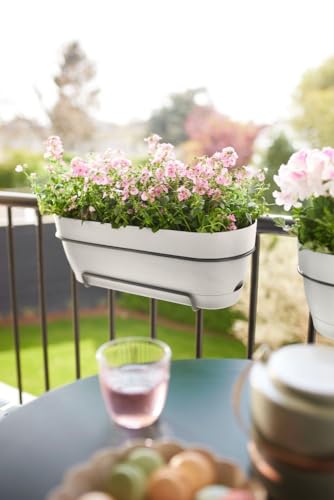 Thumbnail 5 de Elho Vibia Campana jardinera 50,4 cm Blanco