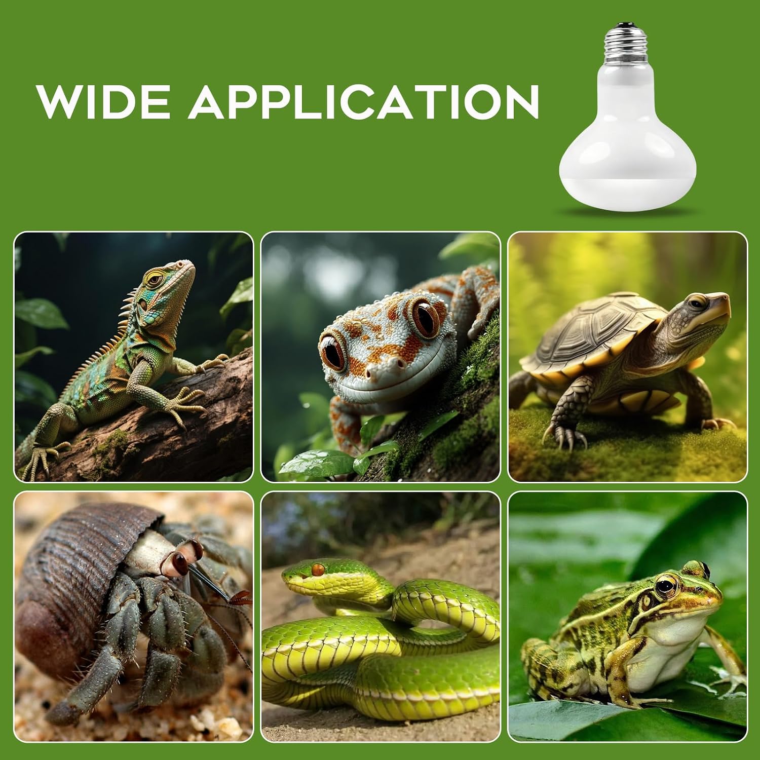 Thumbnail 6 de Houbobo 2 Pack Reptile Heat Lamp Bulbs, 100W – E27 Base for Terrarium Basking
