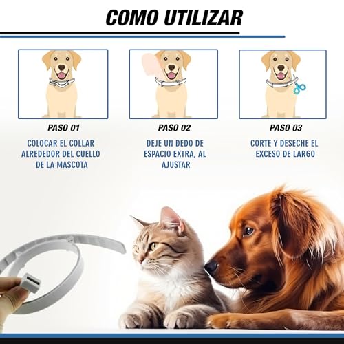 Detalle de Tempotech Collar Antiparasitario Natural para Perro – 100% Natural, hasta 8 Meses, 70 cm