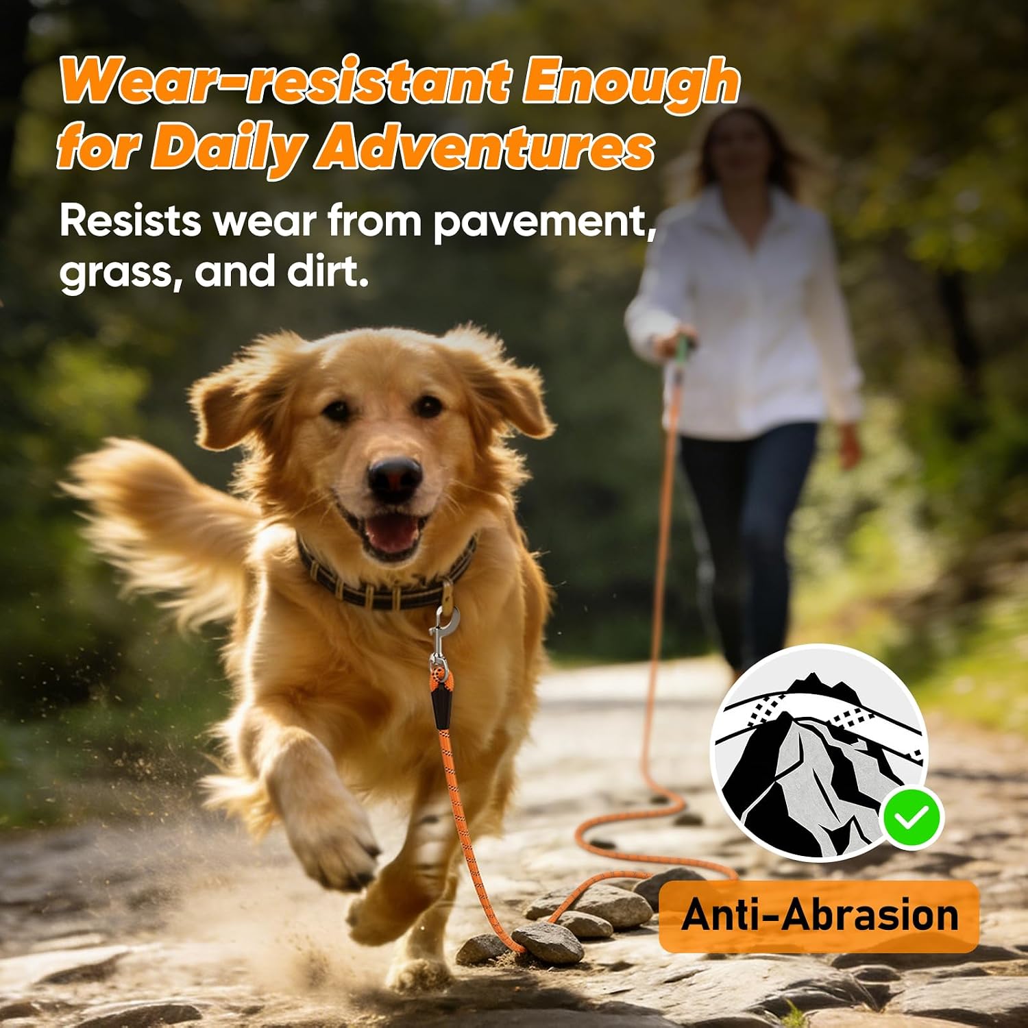 Thumbnail 3 de Aystkniet Reflective Training Lead for Dogs 30M
