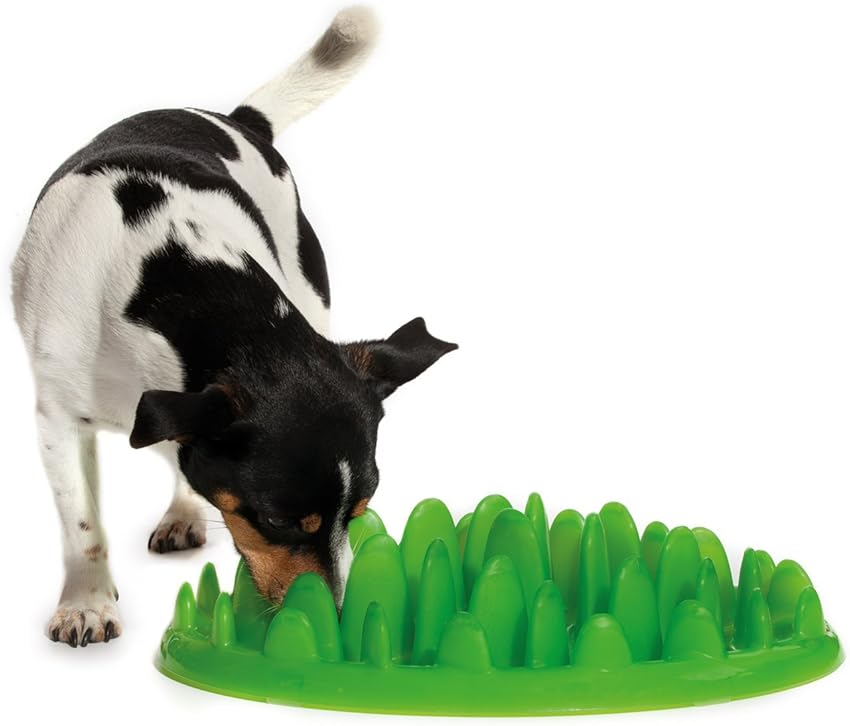 Thumbnail 2 de GREEN Comedero Interactivo L para perros