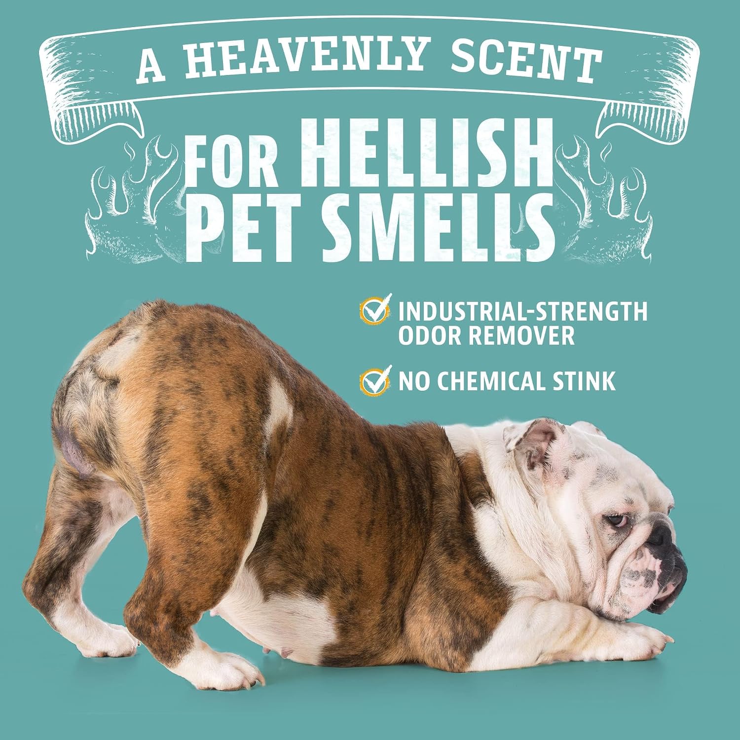 Thumbnail 6 de Angry Orange hres43vdvs Pet Odor Eliminator Concentrate, 8 Ounce