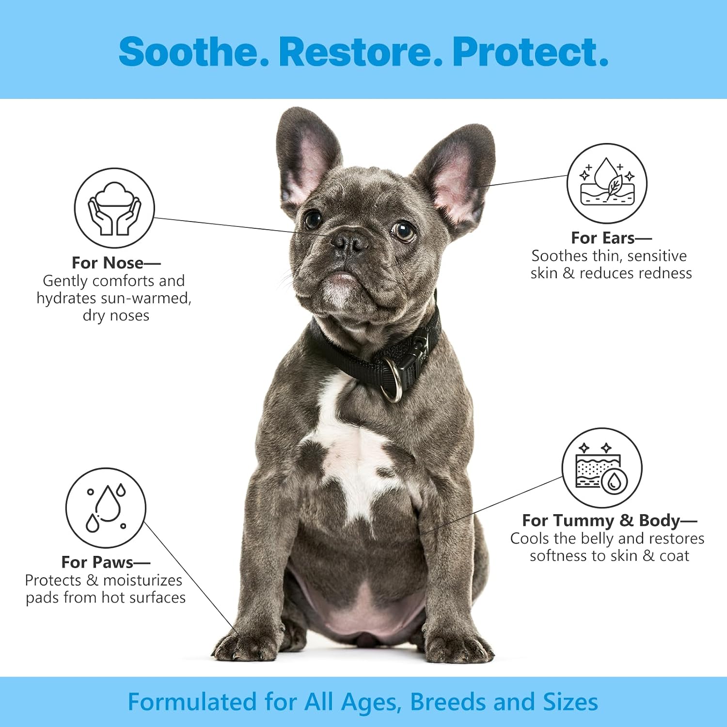 Detalle 2 de GJYC PET After-Sun Beruhigungsserum für Hunde – Feuchtigkeitsspendendes Hautpflege-Serum nach Sonnenex position