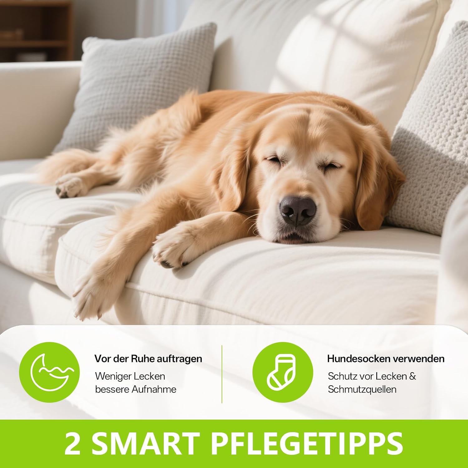 Detalle 2 de Tinioey Pfotenbalsam Hund 70 ml im Stick-Design – Pfotenschutz für Winter, ohne Handkontakt
