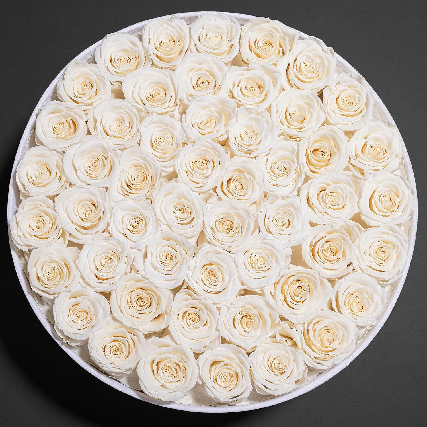 Thumbnail 4 de 50 Piece Roses in a Velvet Box – Preserved Flowers for Lasting Giftable Beauty