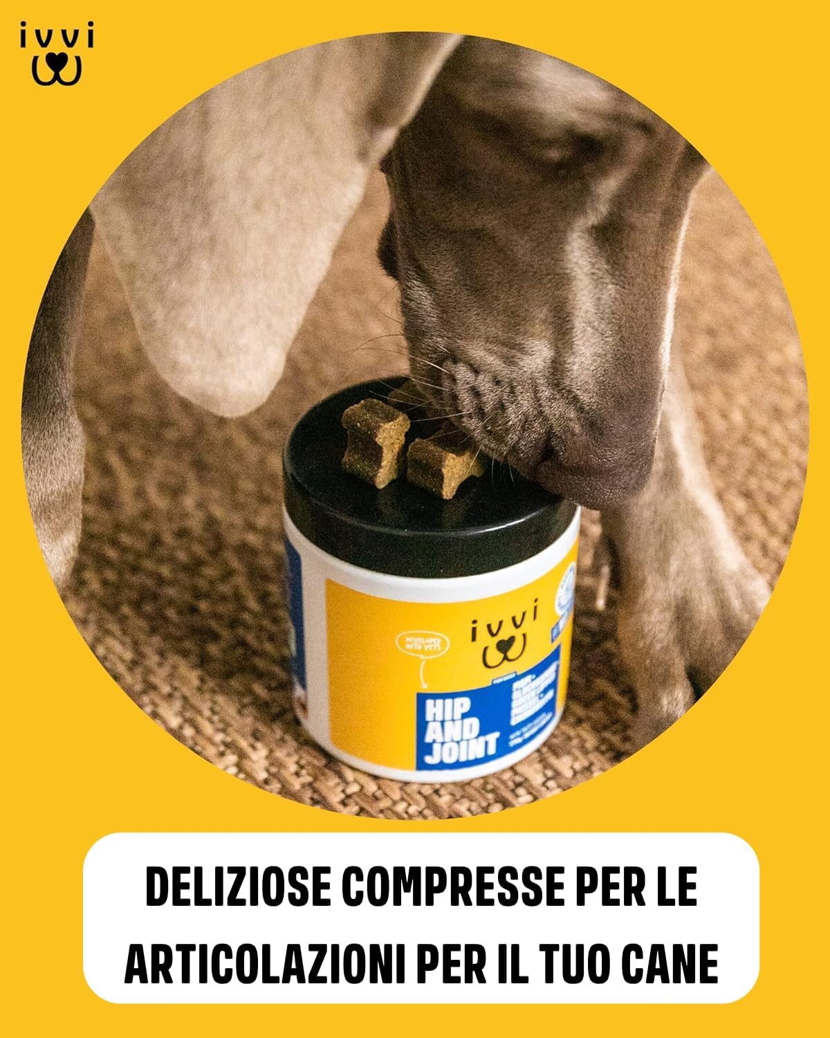 Detalle 2 de IVVI Hip & Joint compresse altamente concentrate per articolazioni del cane in snack con cozza dalle labbra verdi, glucosamina, condroitina e MSM