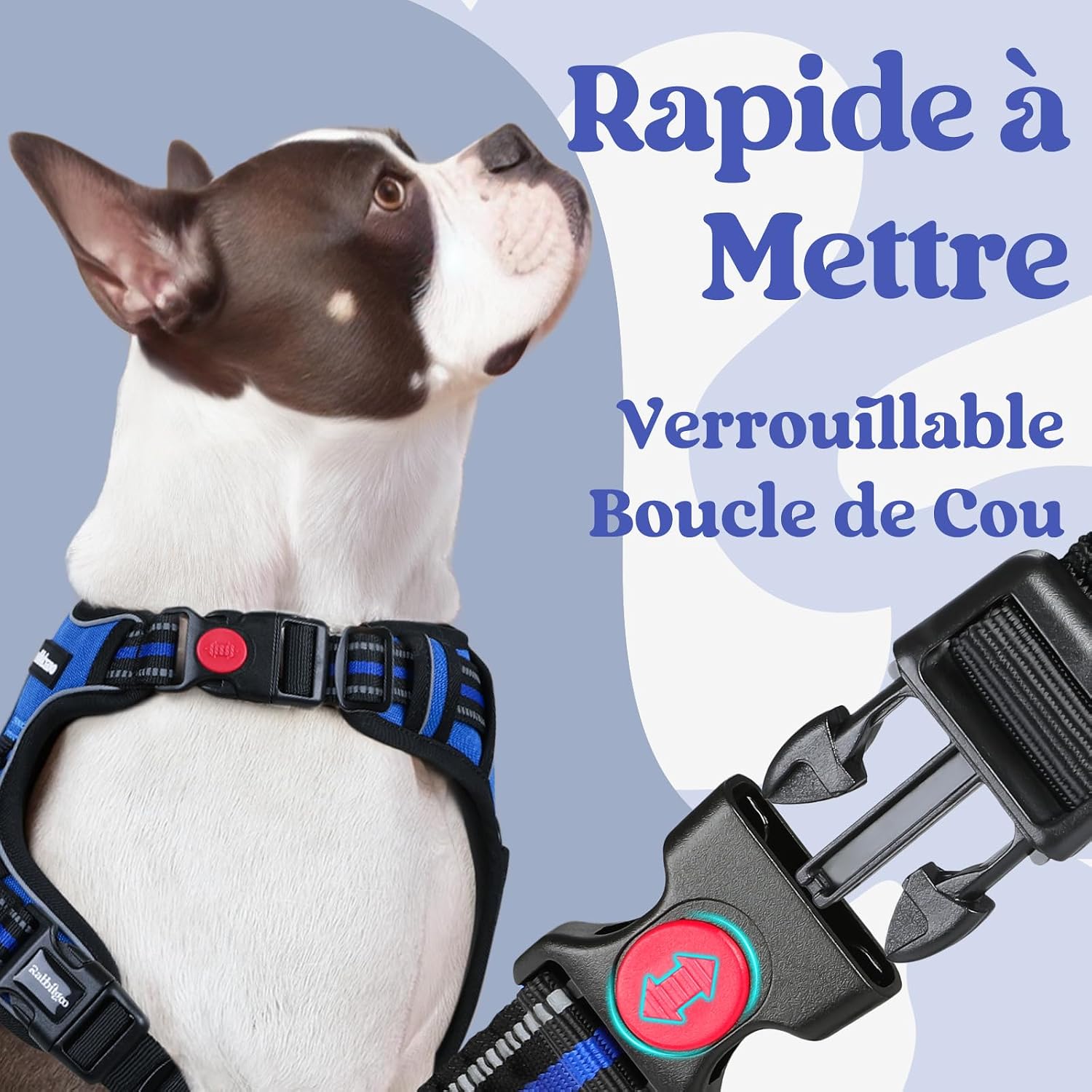 Thumbnail 2 de rabbitgoo Harnais anti traction 3 boucles L