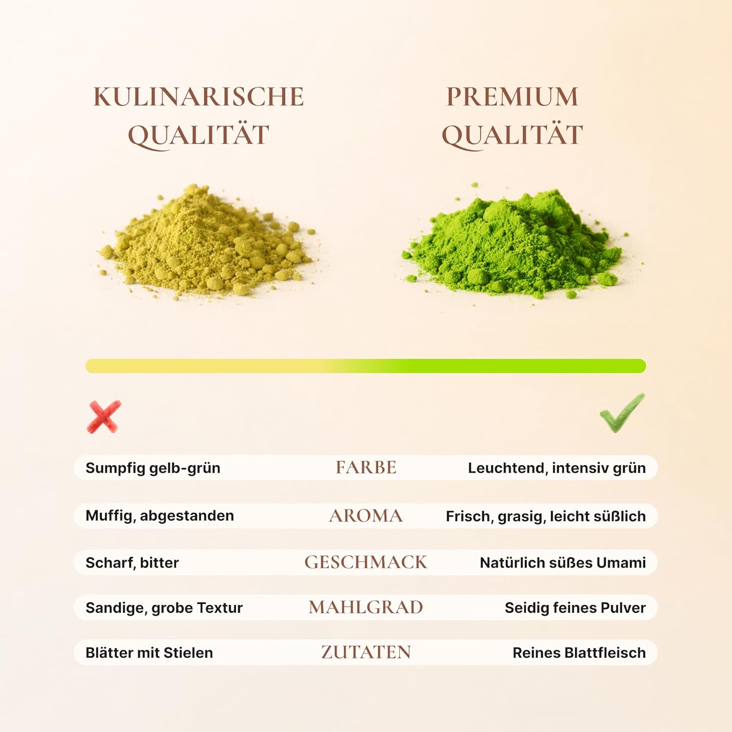 Thumbnail 3 de AVELOR Ceremonial Matcha Pulver – Premium Matcha aus erster Ernte, 30 g in aromatischer Metalldose