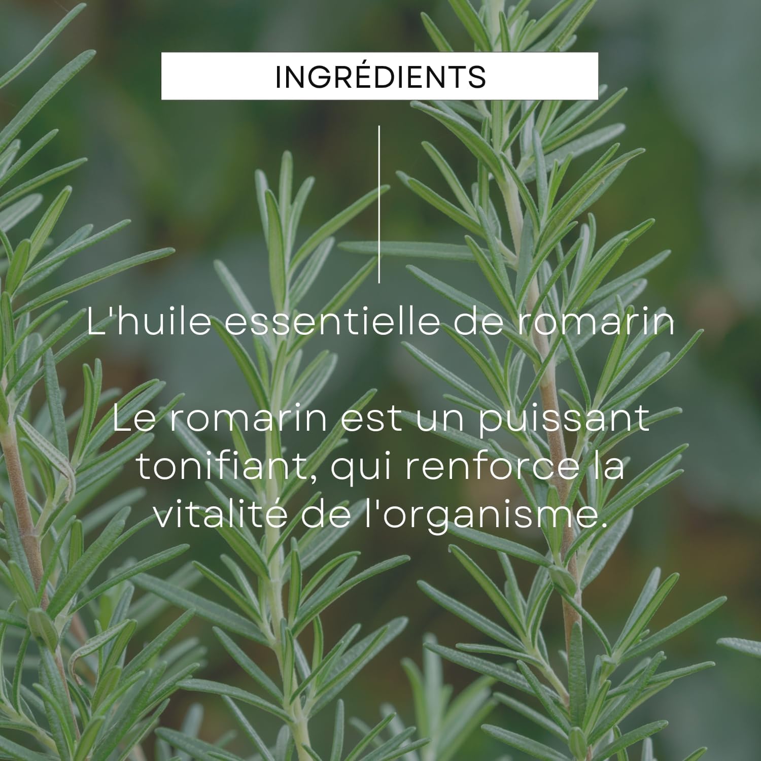 Thumbnail 4 de WELEDA Huile capillaire 50 ml