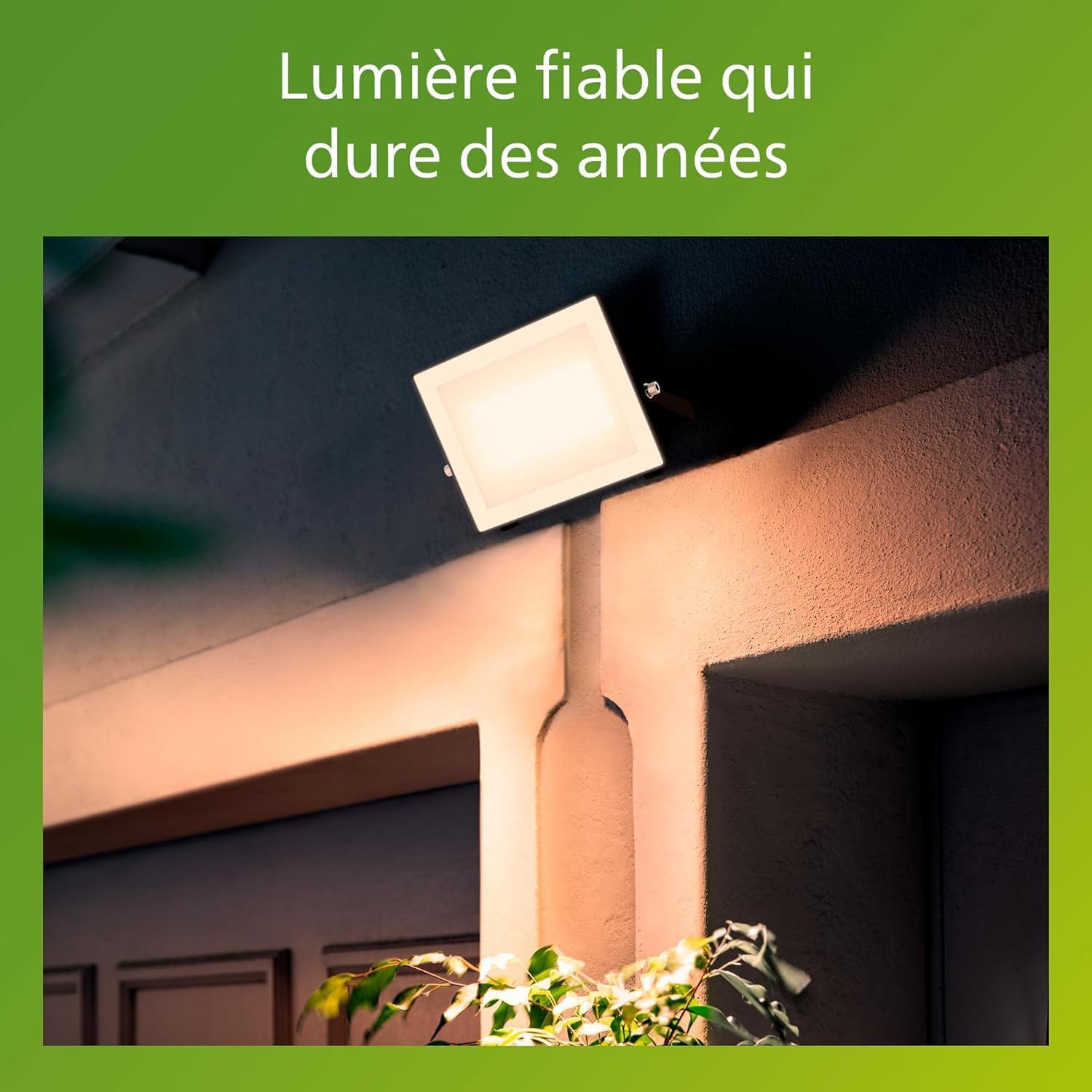 Detalle 2 de Philips Lois Projecteur Extérieur 50 W