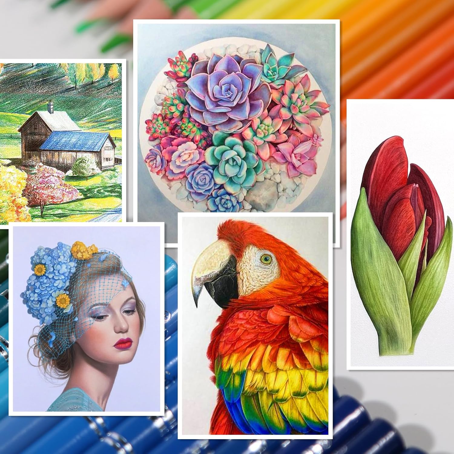 Thumbnail 6 de H & B Lot de 180 Crayons de couleur à base d'huile – ensemble professionnels pour débutants et artistes