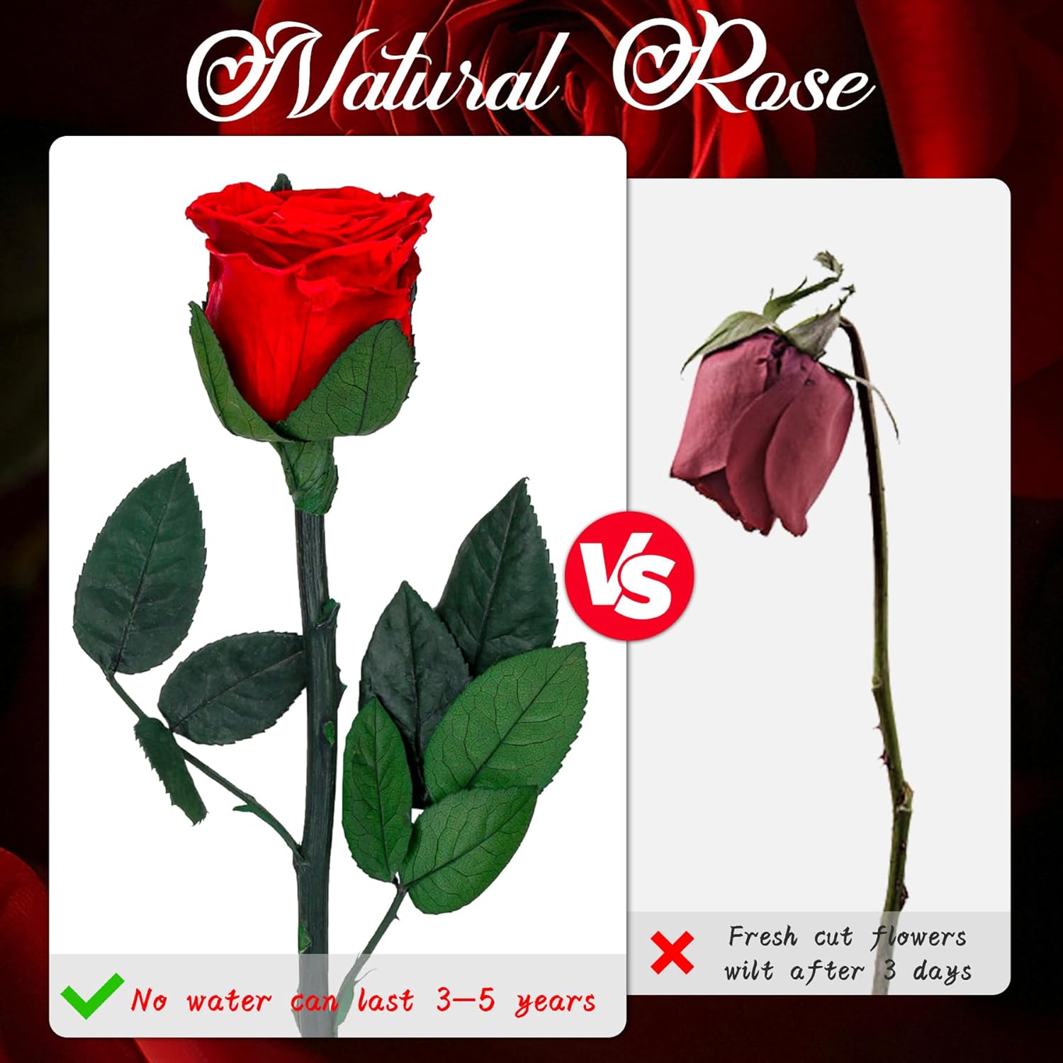 Thumbnail 3 de Infinity Rose 25–30 cm Ewige Rose 🌹