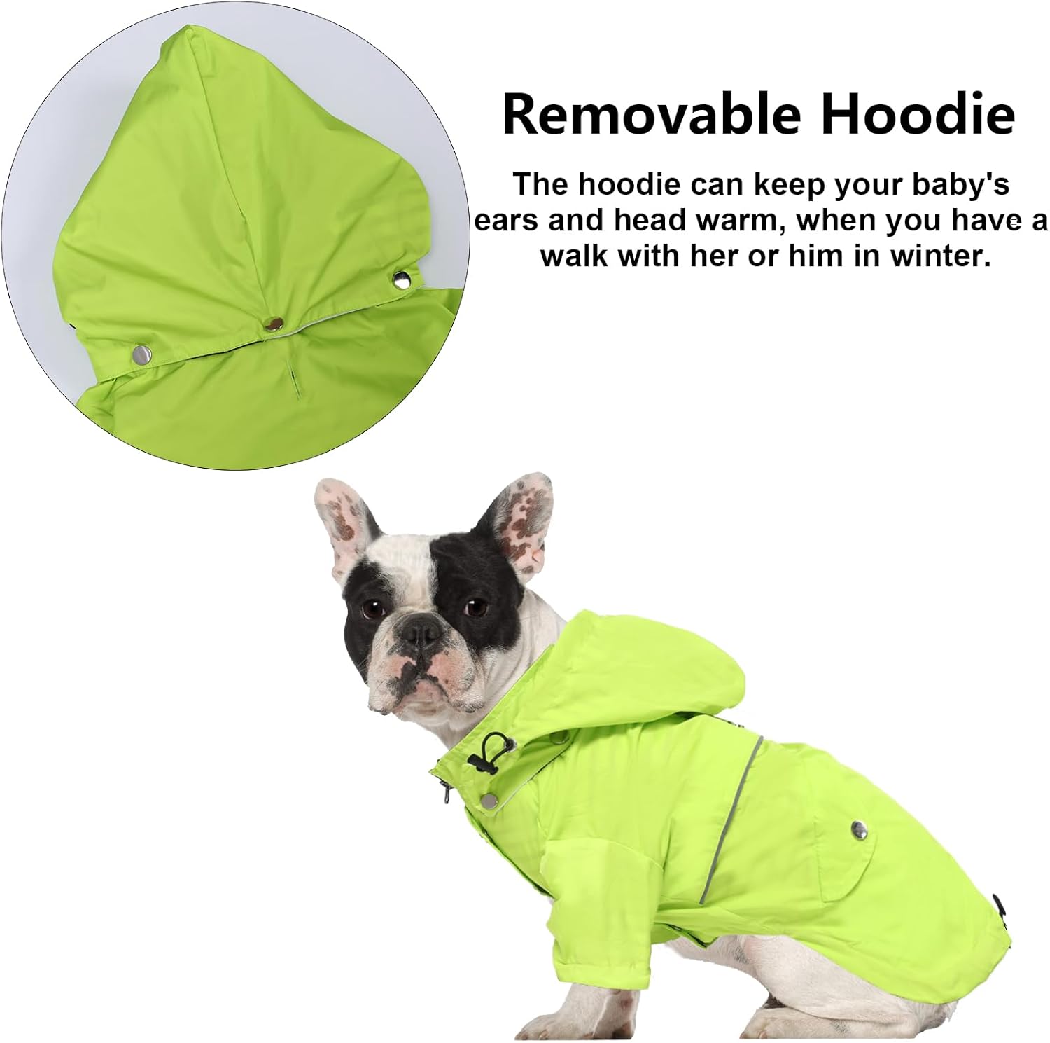 Thumbnail 4 de Morezi Dog Zip-Up Raincoat with Removable Hood and Reflective Buttons (Light Green) – Rain/water resistant for small to medium dogs
