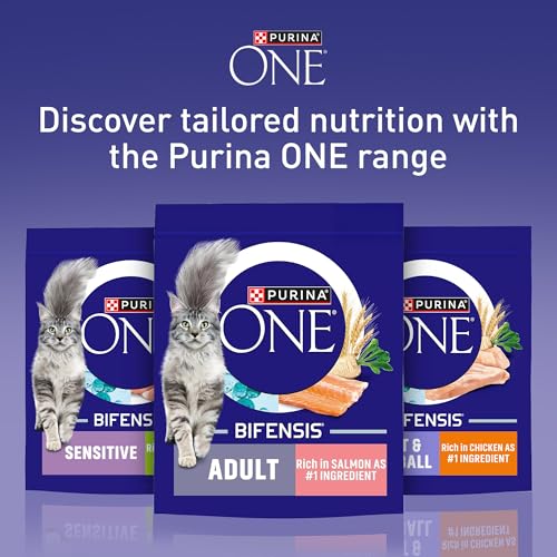 Thumbnail 6 de Purina One Salmon Dry Cat Food 800g (Pack of 4) – Adult Cat Nutrition