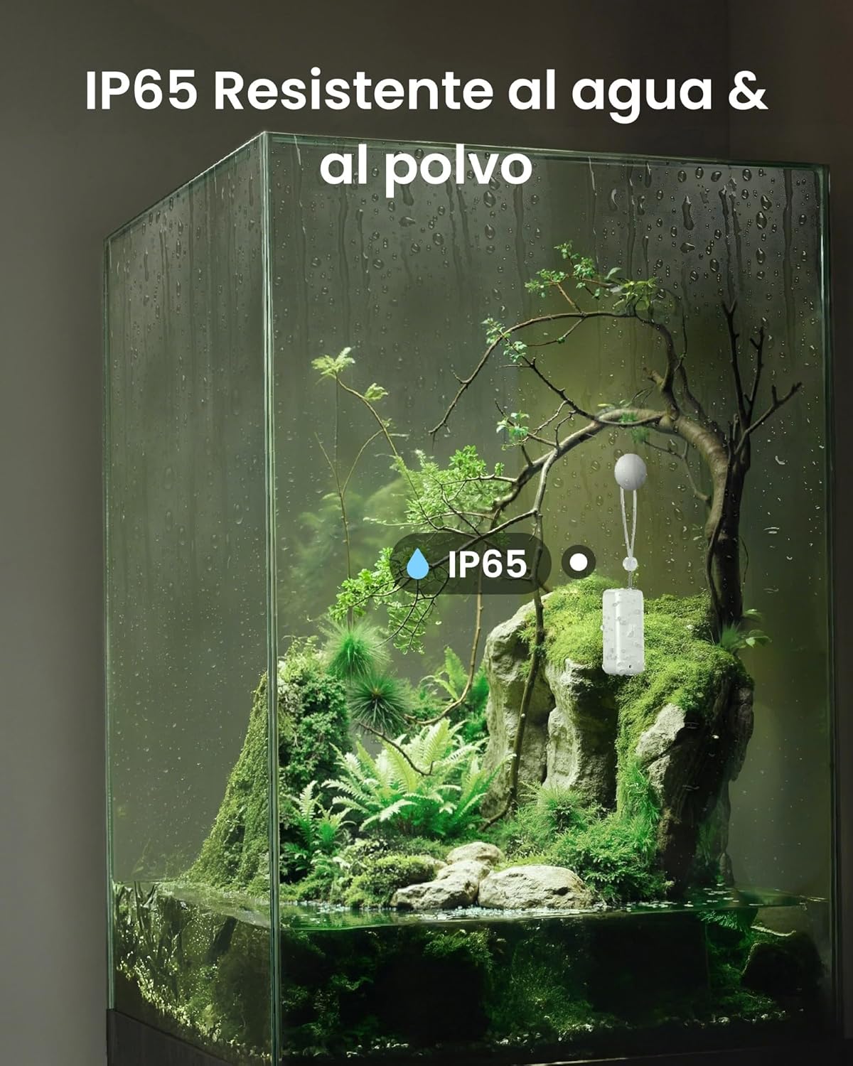 Thumbnail 1 de SwitchBot Termómetro Higrómetro IP65 Bluetooth para Interior/Exterior 🌡️