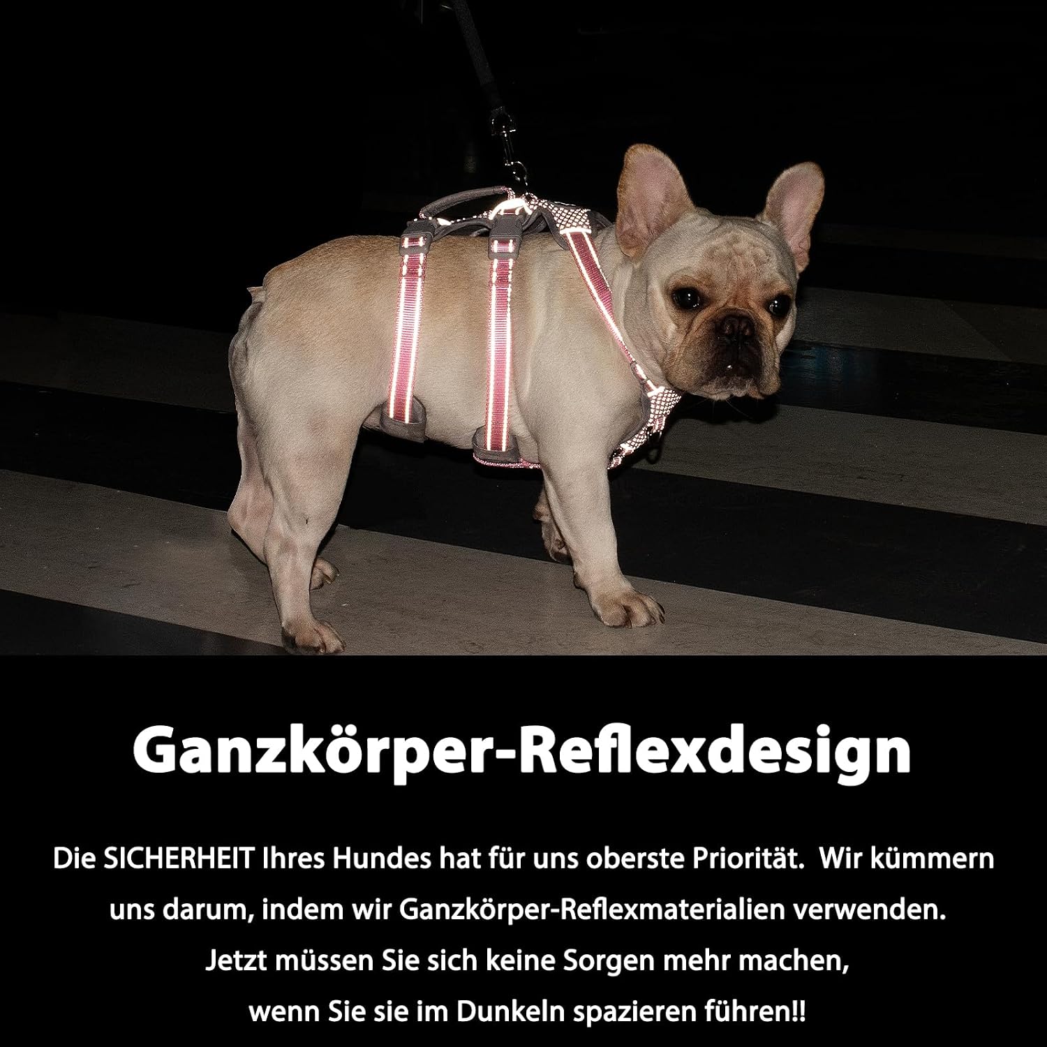 Detalle 2 de Huntboo Hunde-Sicherheitsgeschirr (rosa, S) – ausbruchsicheres reflektierendes Brust-/Weste-Geschirr mit gepolstertem Griff