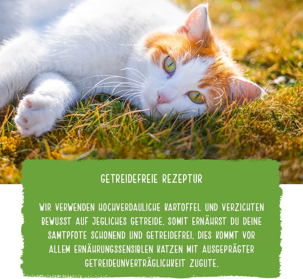 Thumbnail 5 de Chicopee Holistic Nature Line Adult No Grain Katzenfutter trocken – Geflügel & Leber, getreidefrei, 8 kg