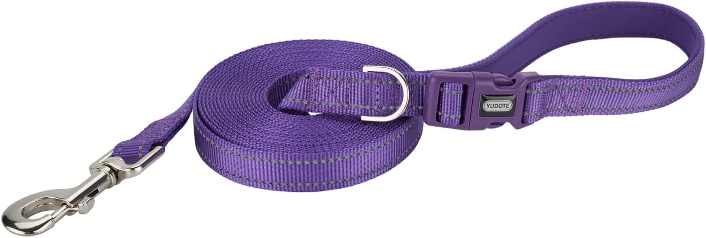 Detalle de Petiry Long Dog Training Lead 5m with Reflective Strong Nylon Webbing & Padded Handle (Purple)