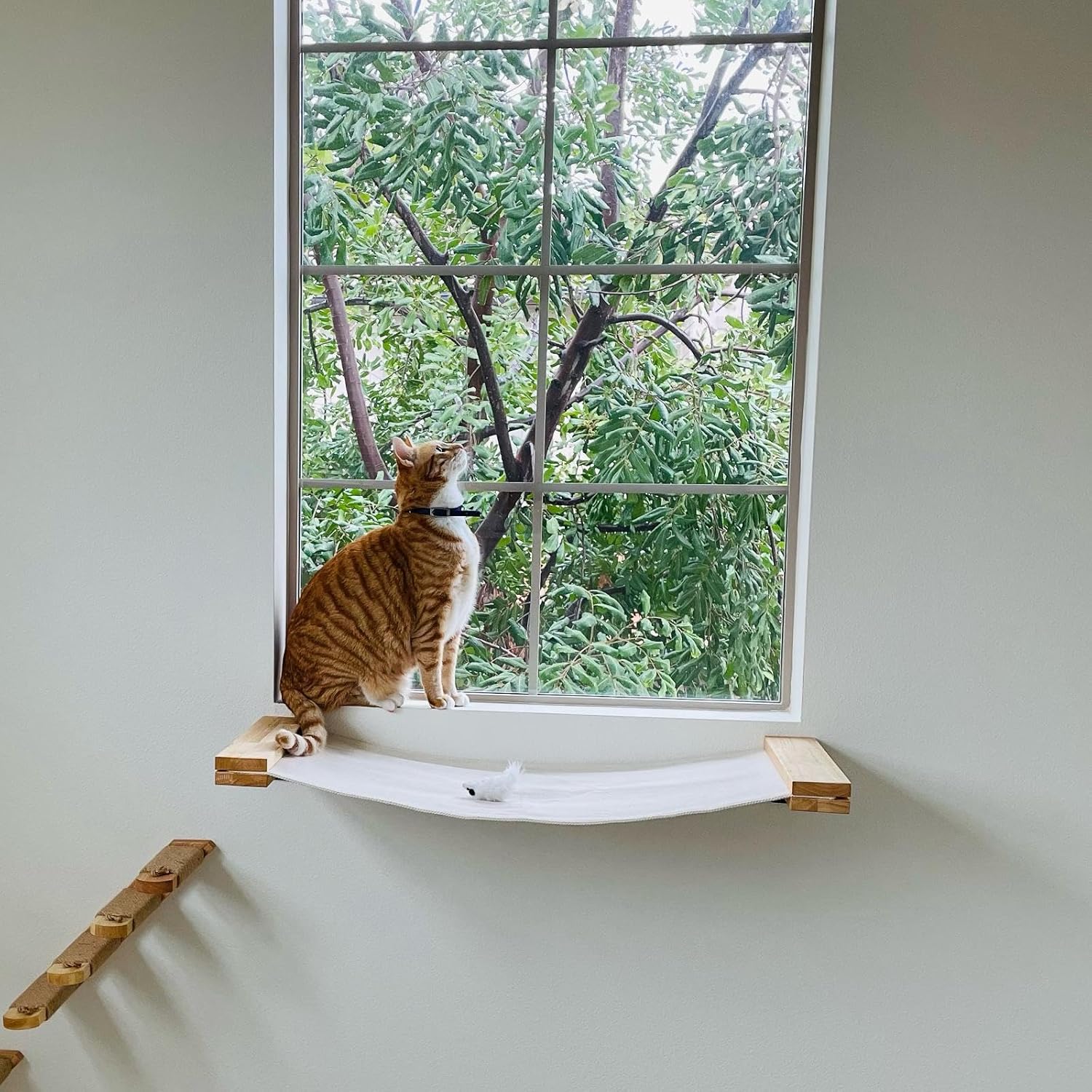 Thumbnail 4 de FUKUMARU Katzenhängematte Wand 91 x 33 cm 🐱