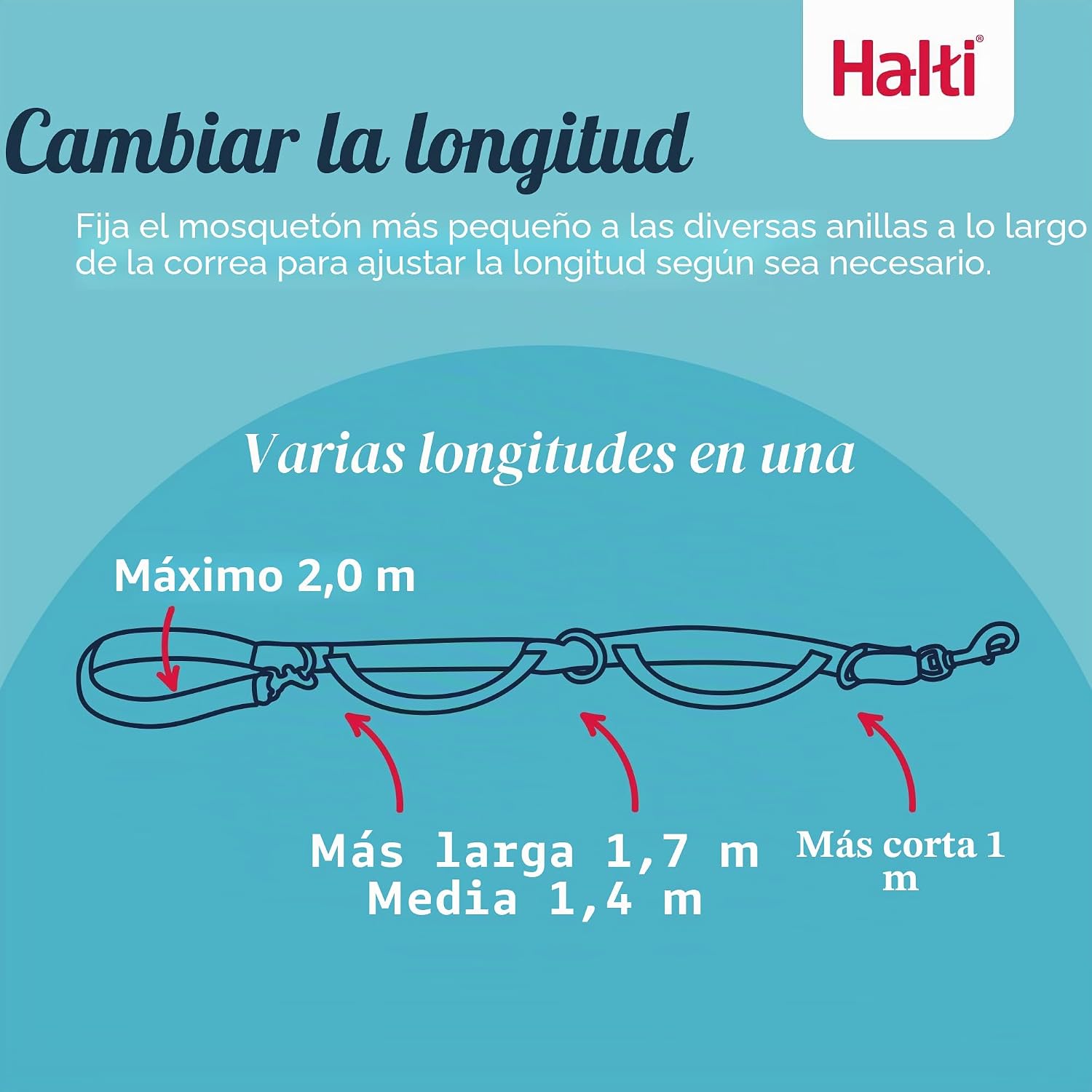 Detalle de Correa de Control para Perros Halti | 2 Metros