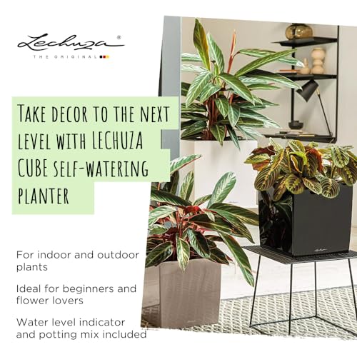 Thumbnail 1 de LECHUZA Cube Premium 40 Blanco Brillante 40 cm