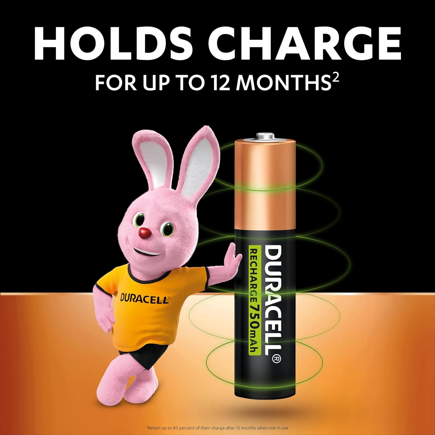 Detalle 1 de Duracell AAA Rechargeable Batteries (Pack of 4) 750 mAh NiMH, pre-charged for up to 1000 recharge cycles