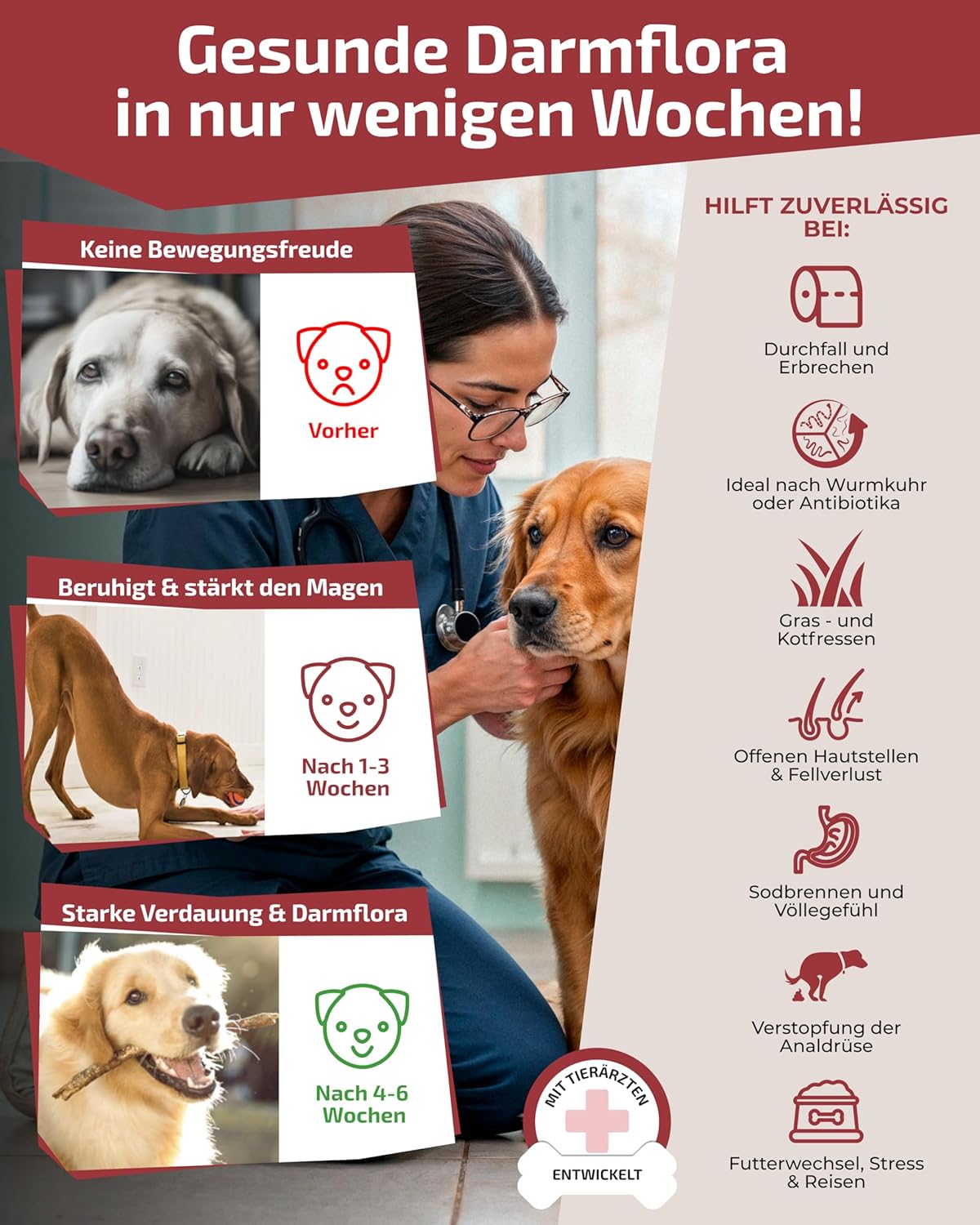 Thumbnail 1 de DOGPARENTS Prä & Probiotika Hund 670 Mrd. KBE