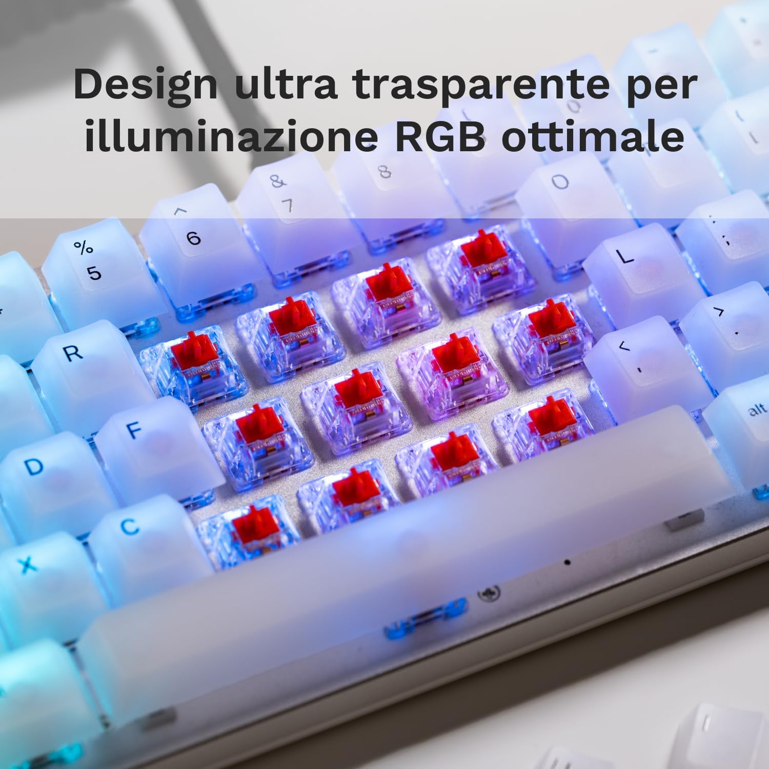 Thumbnail 3 de Glorious Fox Linear Switches 110 pz per gaming