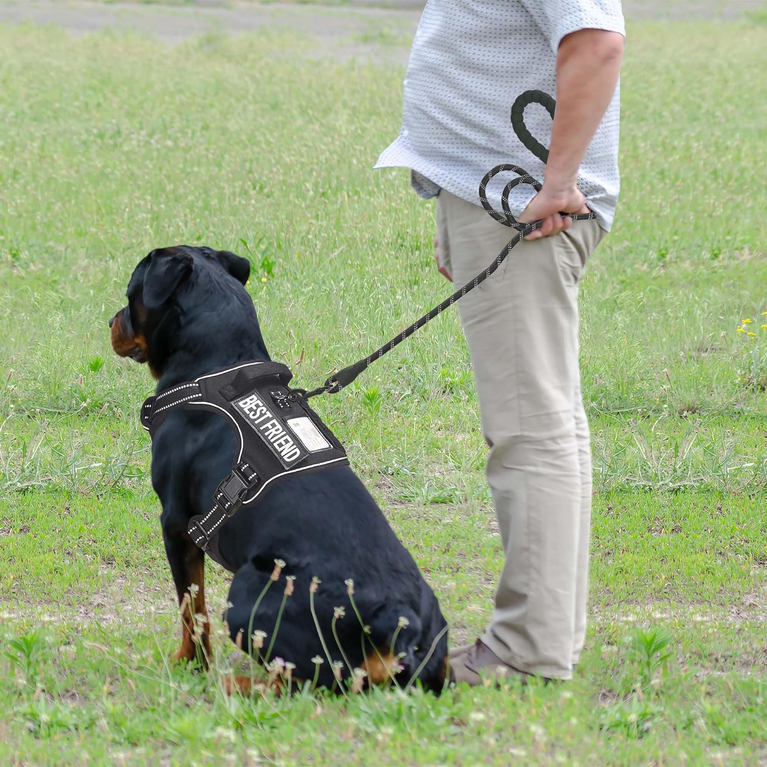 Thumbnail 2 de Haapaw Heavy Duty Tactical Dog Harness, Large