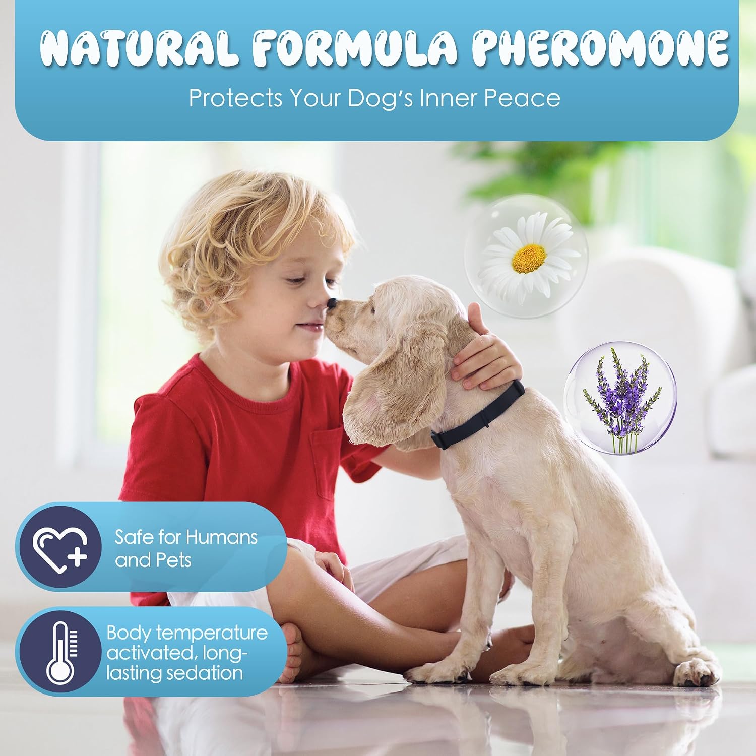 Detalle de Pernimon Calming Collar for Dogs with Natural Pheromones – 8 Pack (25")