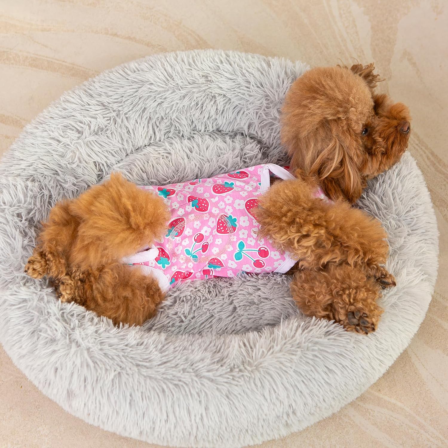 Thumbnail 6 de FEimaX Combinaison de Récupération pour Chiens et Chats – Taille XS à XXL, post-opératoire, coton/lycra, protection et confort