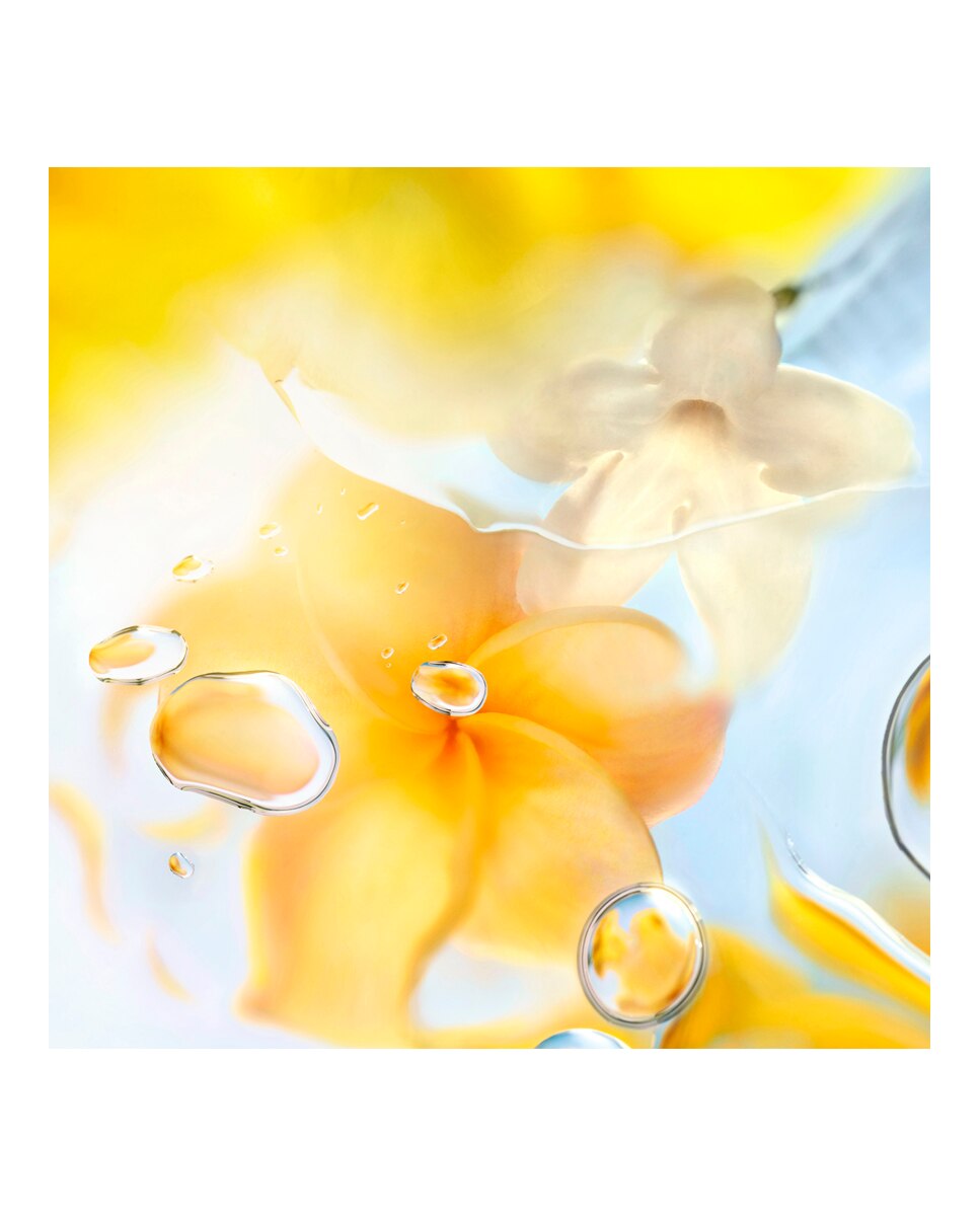 Thumbnail 3 de Lancôme Ô Zenith Eau de Toilette 100 ml