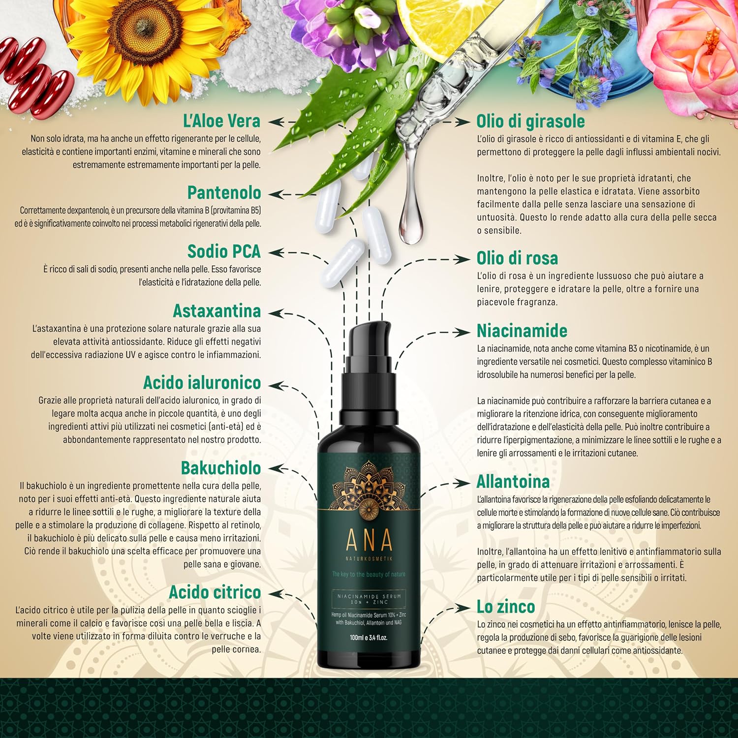 Thumbnail 4 de ANA Naturkosmetik Siero alla Niacinamide 10% 100 ml (100% vegan & bio) con Vitamina C, Aloe Vera e Zinco