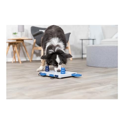 Detalle de Trixie 32025 Dog Activity Move2Win Nivel 3 — 34×6×13 cm
