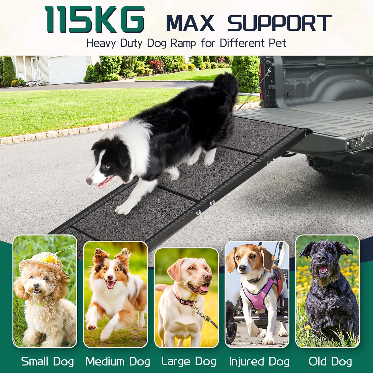 Thumbnail 4 de Longest 180cm & Widest 50cm Folding Dog Car Ramp for Large Dogs