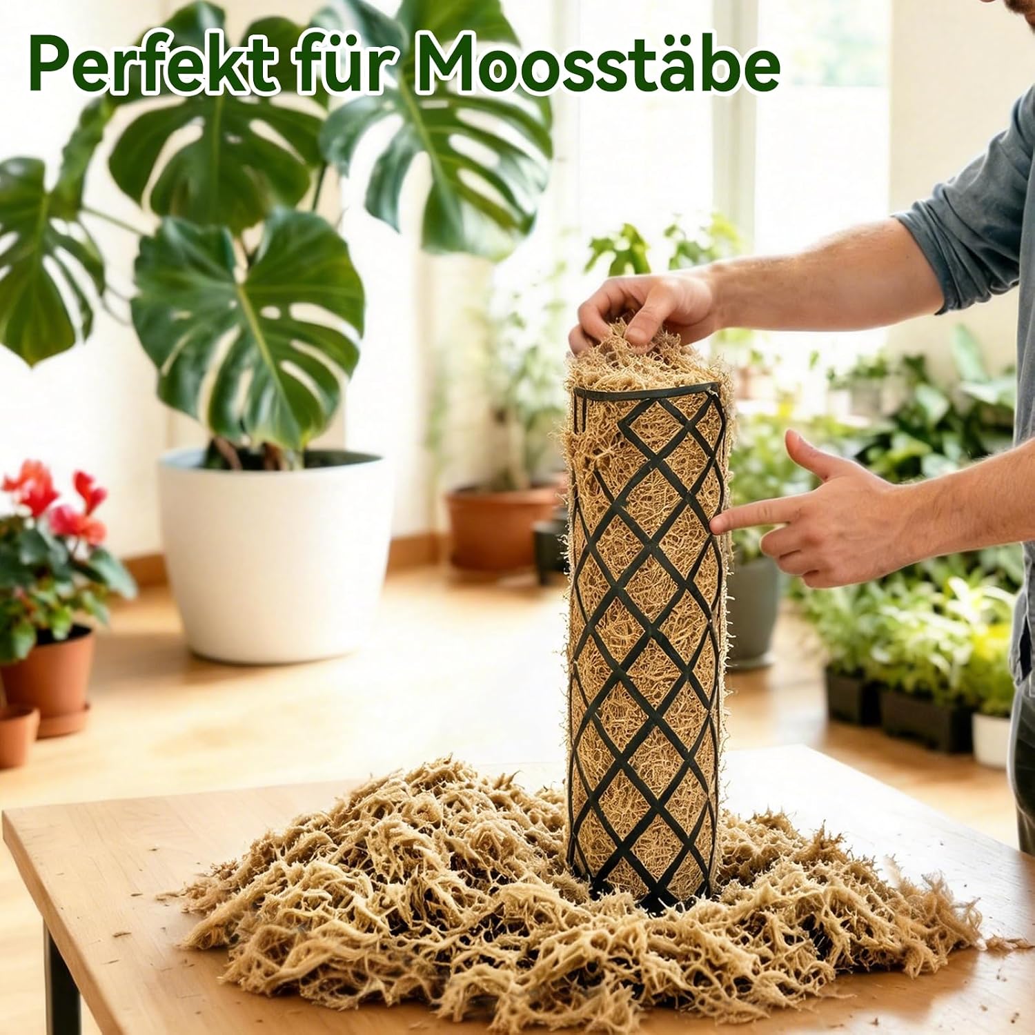 Thumbnail 3 de Halatoo Sphagnum Moos 170 g für Orchideen und Pflanzen