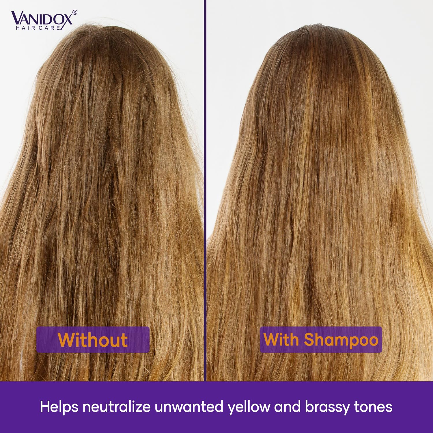 Thumbnail 6 de VANIDOX Purple Shampoo, 16 fl oz