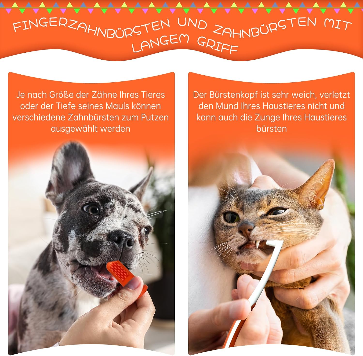 Detalle 2 de MEIEGOU Zahnpflege Hund Set