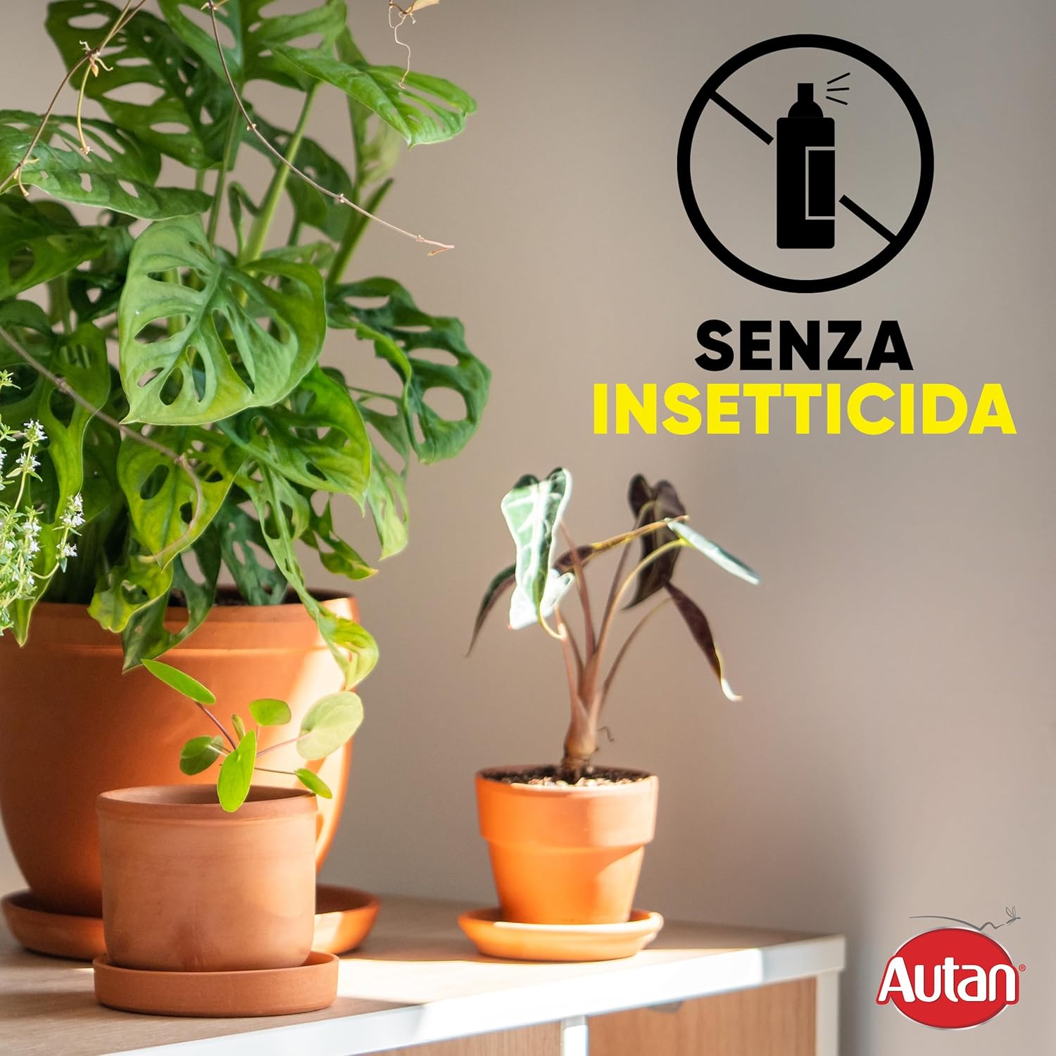 Thumbnail 4 de Autan Antitarme Alimentari – Confezione Bipacco, cattura tarme e farfalline del cibo, efficace fino a 8 settimane