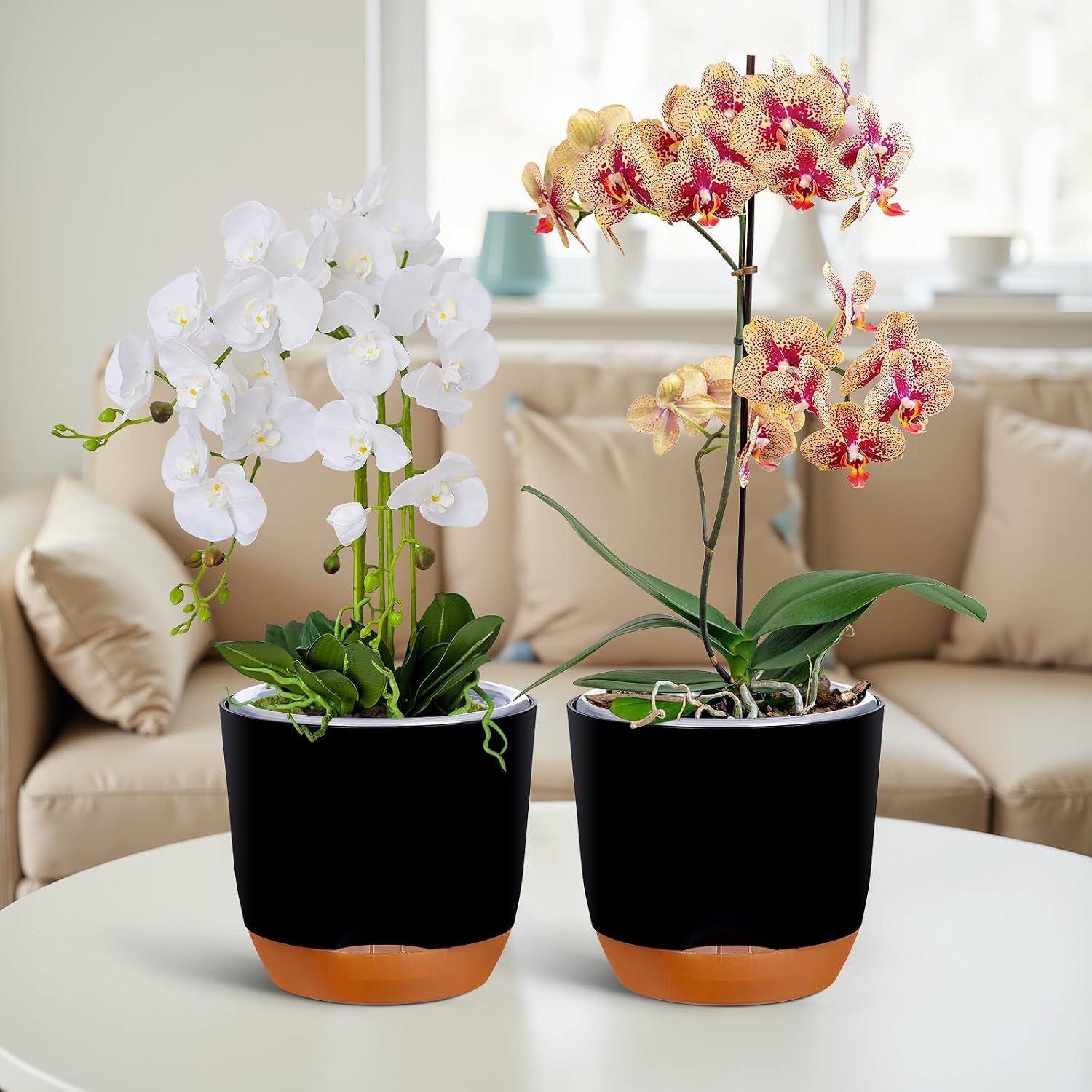 Thumbnail 4 de QCQHDU 2 Pack orchid pots 5.8 inch