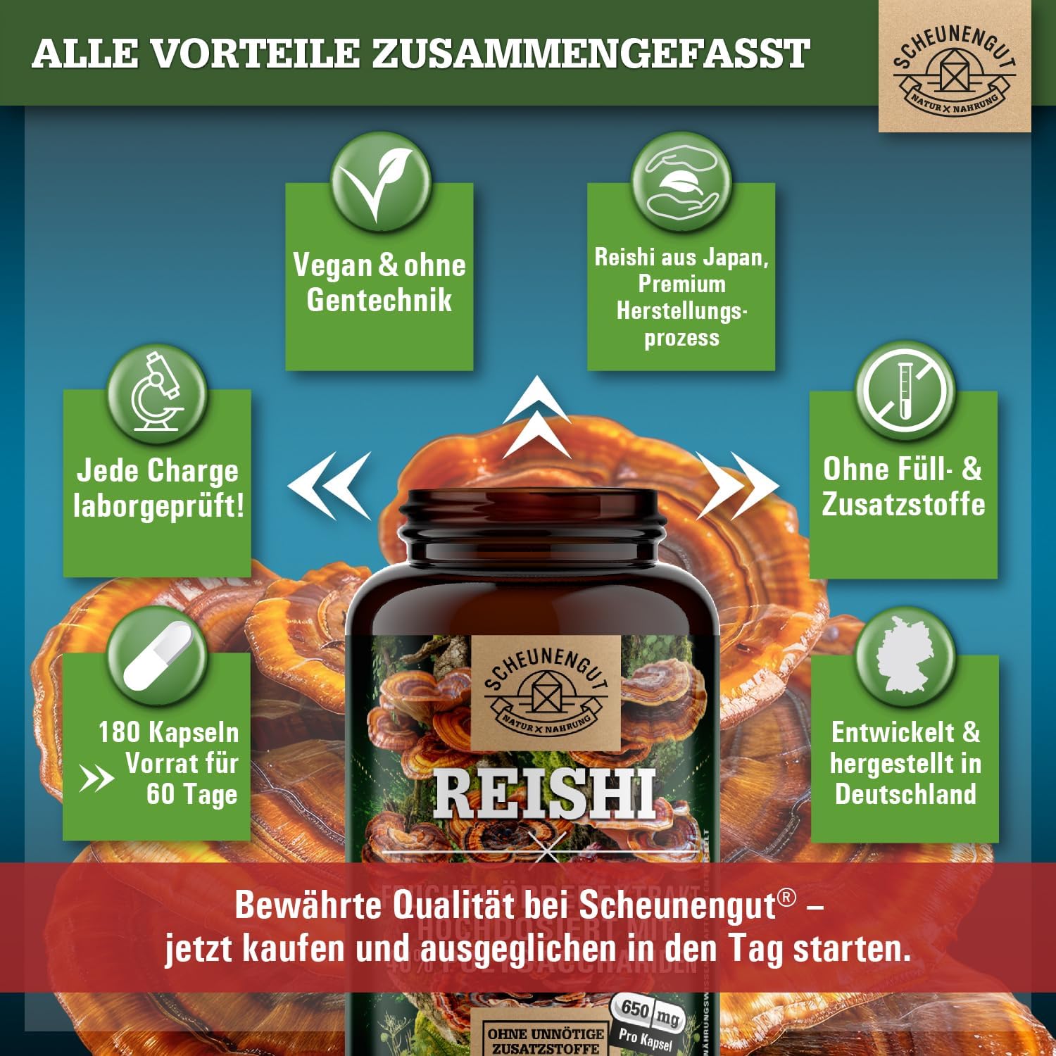 Thumbnail 5 de Reishi 1950mg Kapseln 20:1 Extrakt 🍄