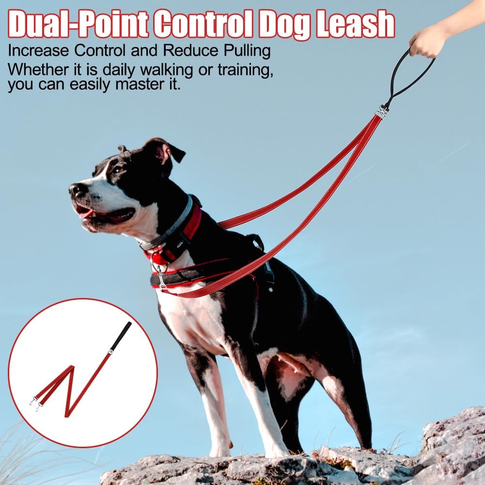 Detalle 2 de Adiwo Laisse de Dressage Réfléchissante pour Chien — Laisse double point, nylon résistant et réglable (Rouge)