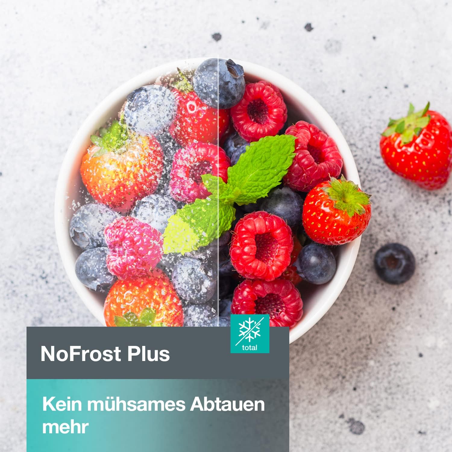 Thumbnail 6 de Gorenje NRK418ECS4 Kühl-Gefrierkombination Grau – NoFrost Plus, EggTray & LED-Beleuchtung
