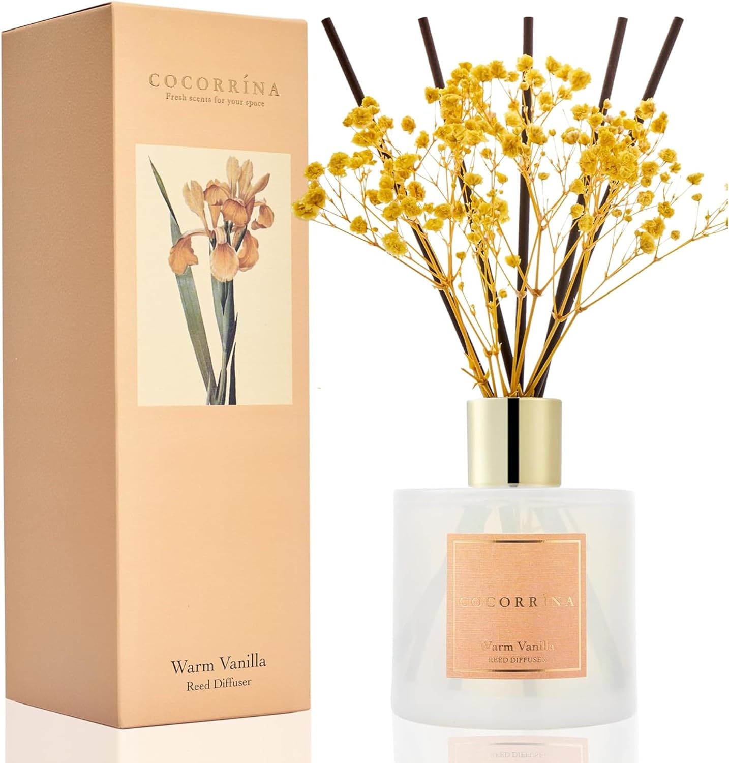 Cocorrína Warm Vanilla Reed Diffuser with 8 Sticks 🕯